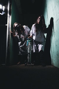 The Asylum haunted attraction